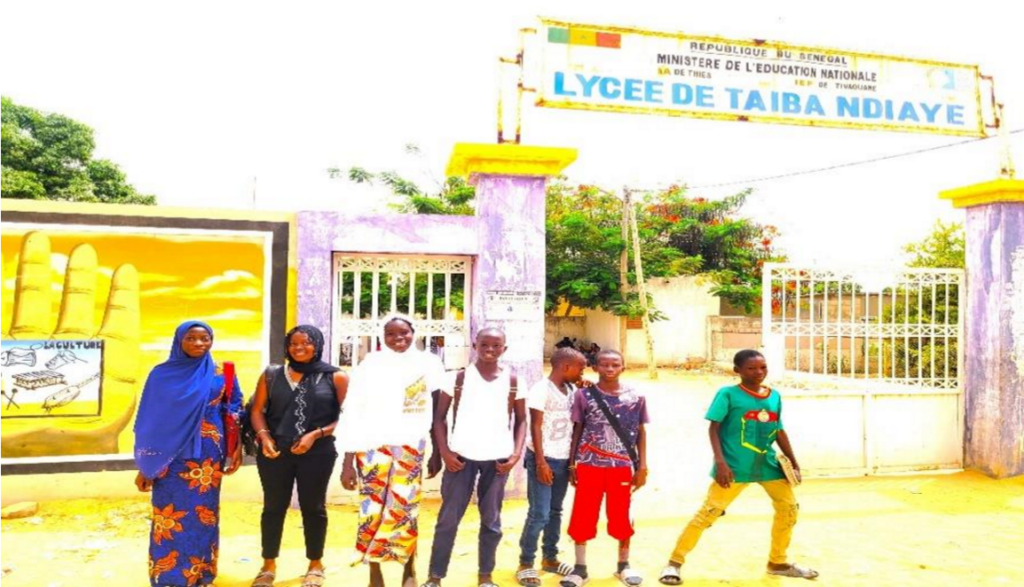 Profil social commune de taiba ndiaye